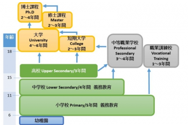 教育制度図